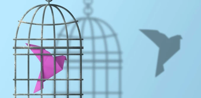 Reddito di Libertà, arrivano nuove risorse